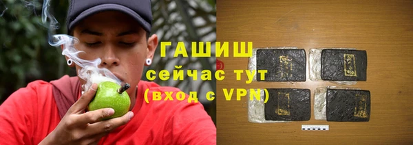прущие грибы Абаза
