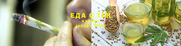 прущие грибы Абаза