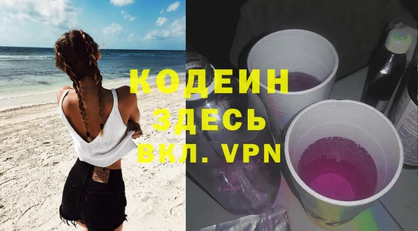 прущие грибы Абаза