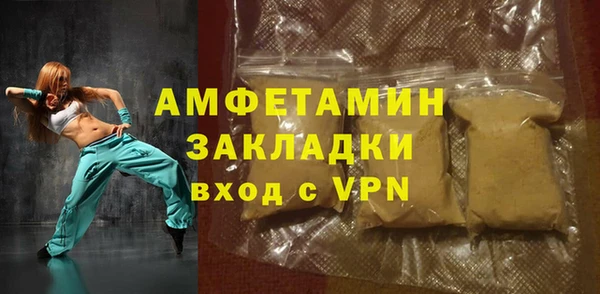 прущие грибы Абаза
