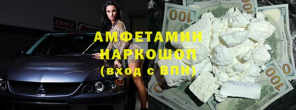 прущие грибы Абаза