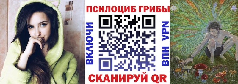 продажа наркотиков Североморск Галлюциногенные грибы мицелий
