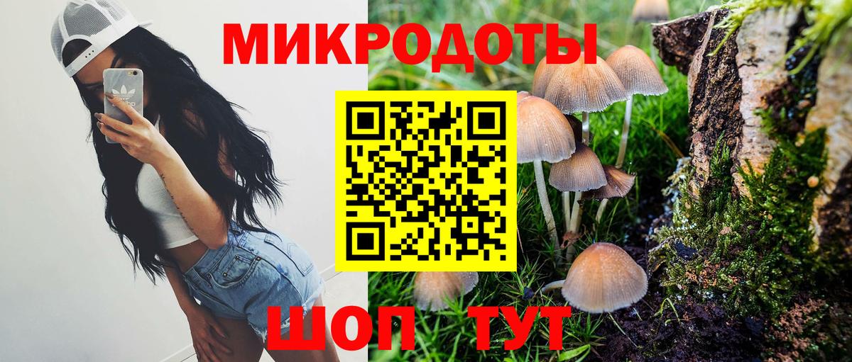 Псилоцибиновые грибы Psilocybine cubensis Североморск