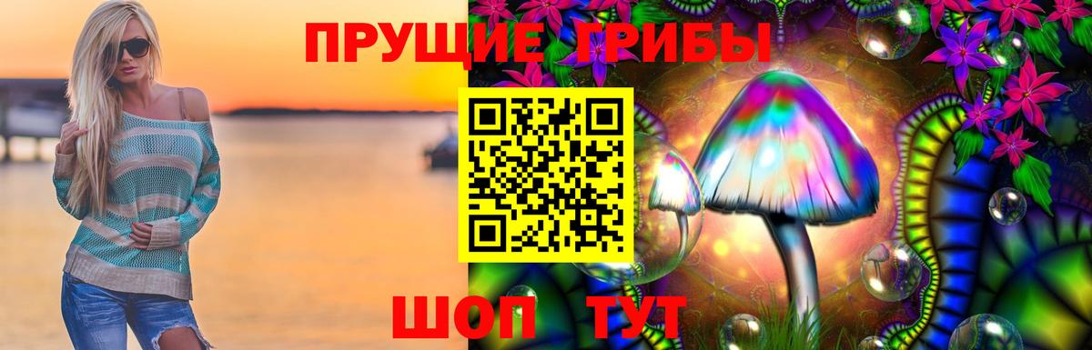Псилоцибиновые грибы ЛСД  Вход с VPN  Североморск 